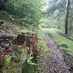 Fundacja Dpt Dom Pracy Tworczej Pau 3*