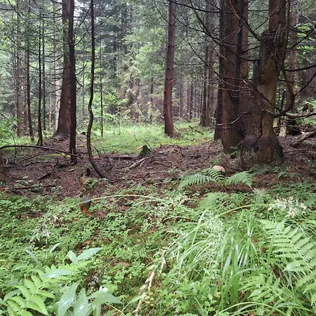 게스트하우스 Fundacja Dpt Dom Pracy Tworczej Pau 3*