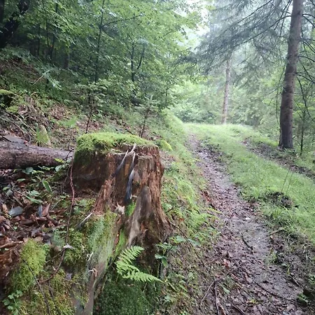Fundacja Dpt Dom Pracy Tworczej Pau 3*