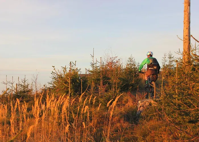 Fundacja Dpt Dom Pracy Tworczej Pau 3* Zawoja