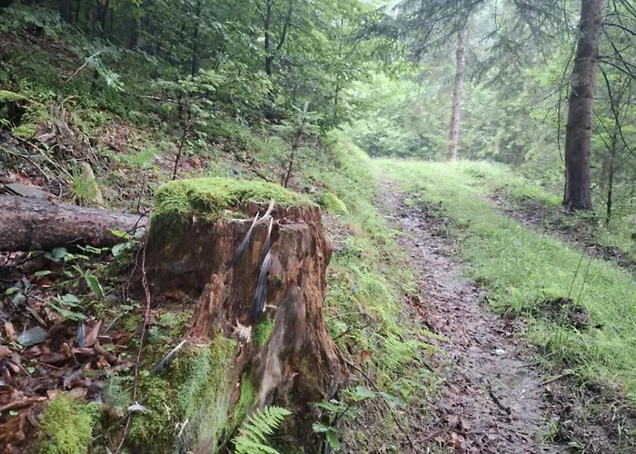 Fundacja Dpt Dom Pracy Tworczej Pau 3*