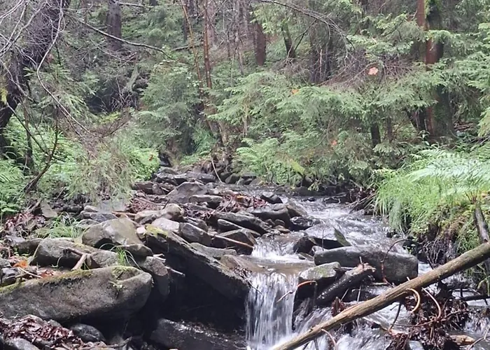 Fundacja Dpt Dom Pracy Tworczej Pau 3* Zawoja